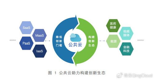 人工智能时代 公共云如何驱动数智化转型与人工智能应用软件开发